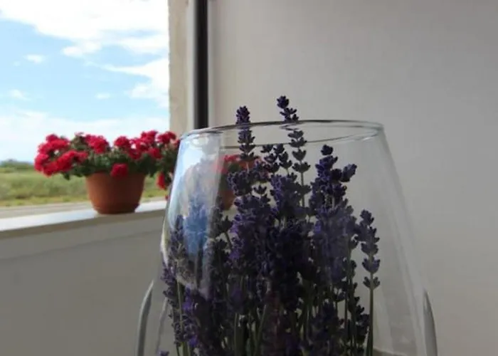 Family Friendly Kim - By Ta Leut Agency Privlaka (Zadar)